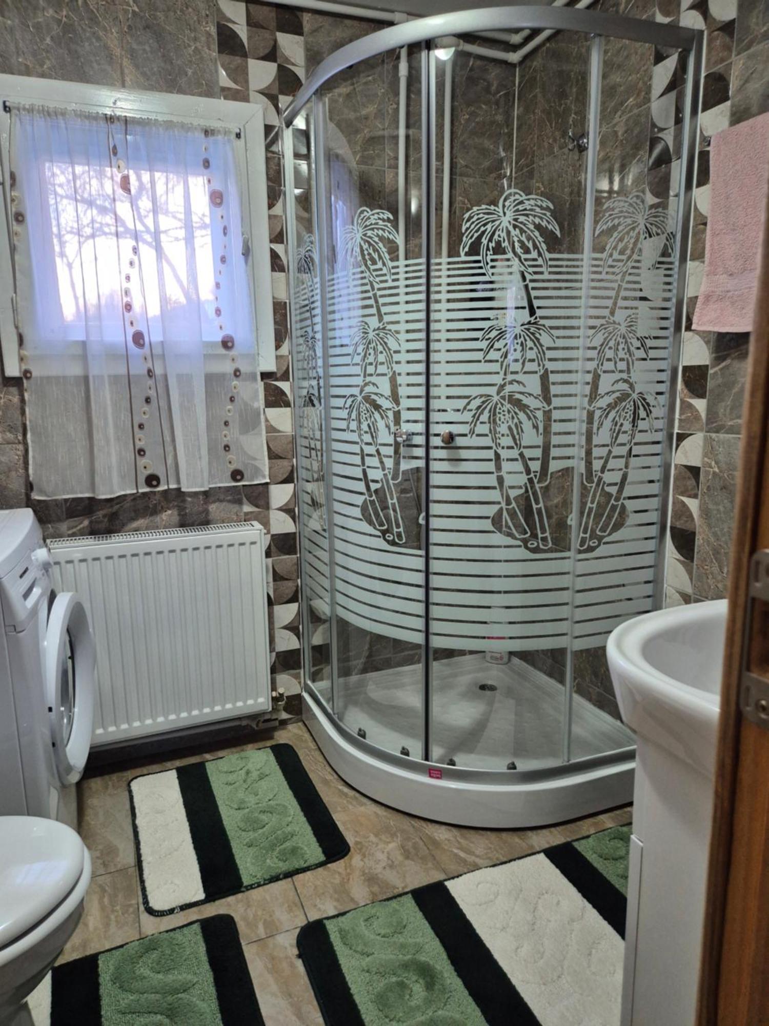 Casa Din Livada - Cazare Magherus Topliţa エクステリア 写真